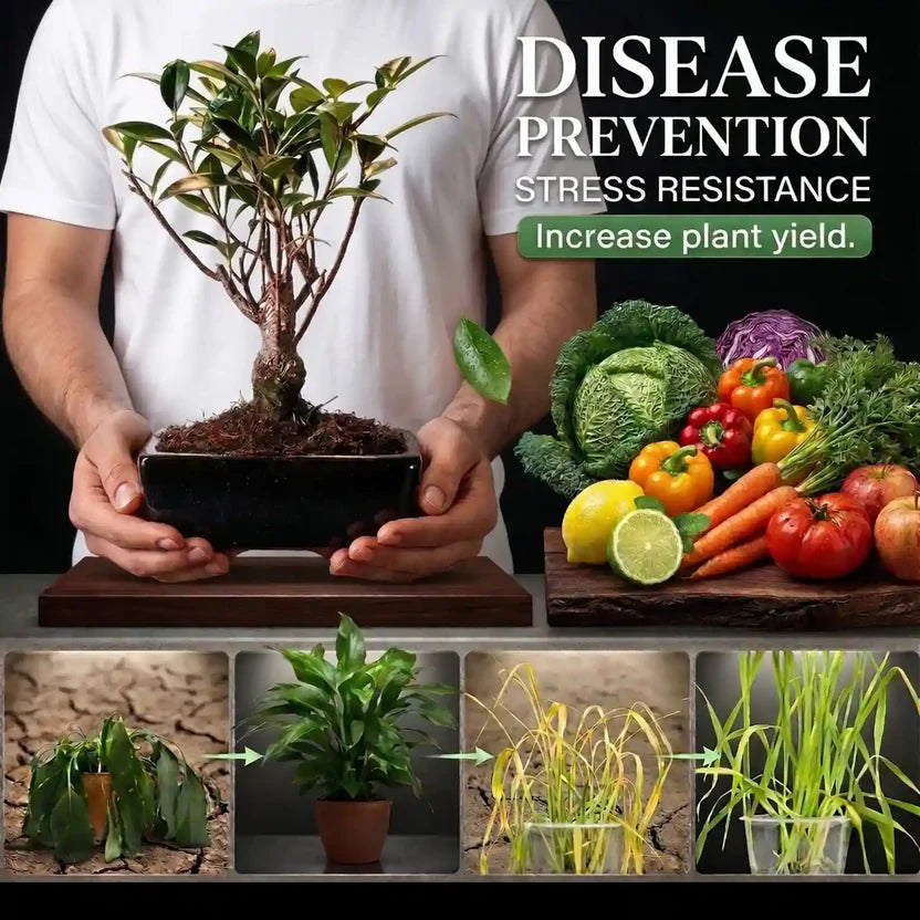 Soil Activated Treasure (Pack of 2)